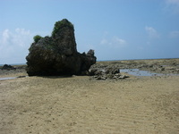 浮気　その２ 2006/08/25 20:44:34