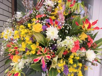 開校祝い 2019/03/15 23:16:00