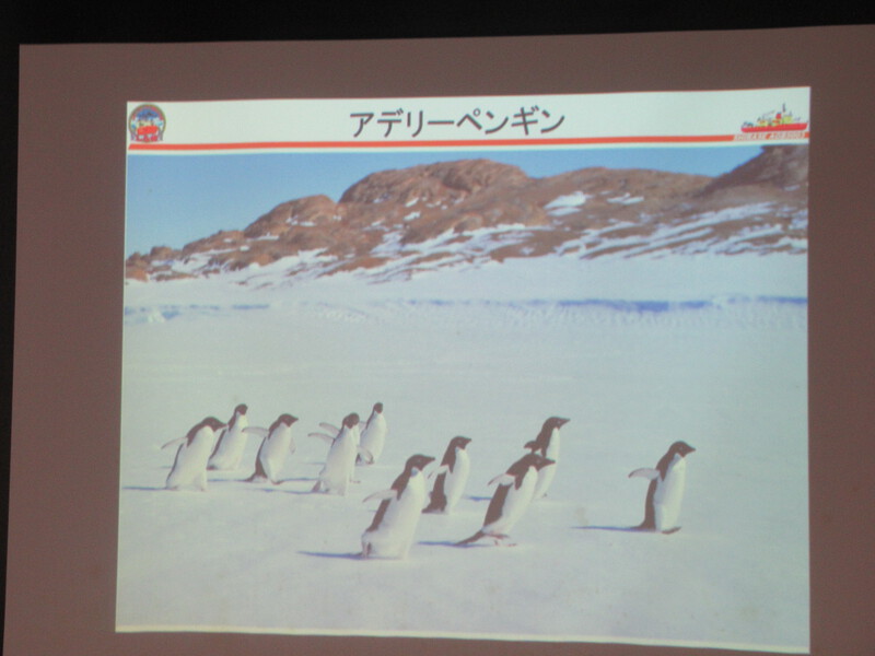 南極ってどんなところ？