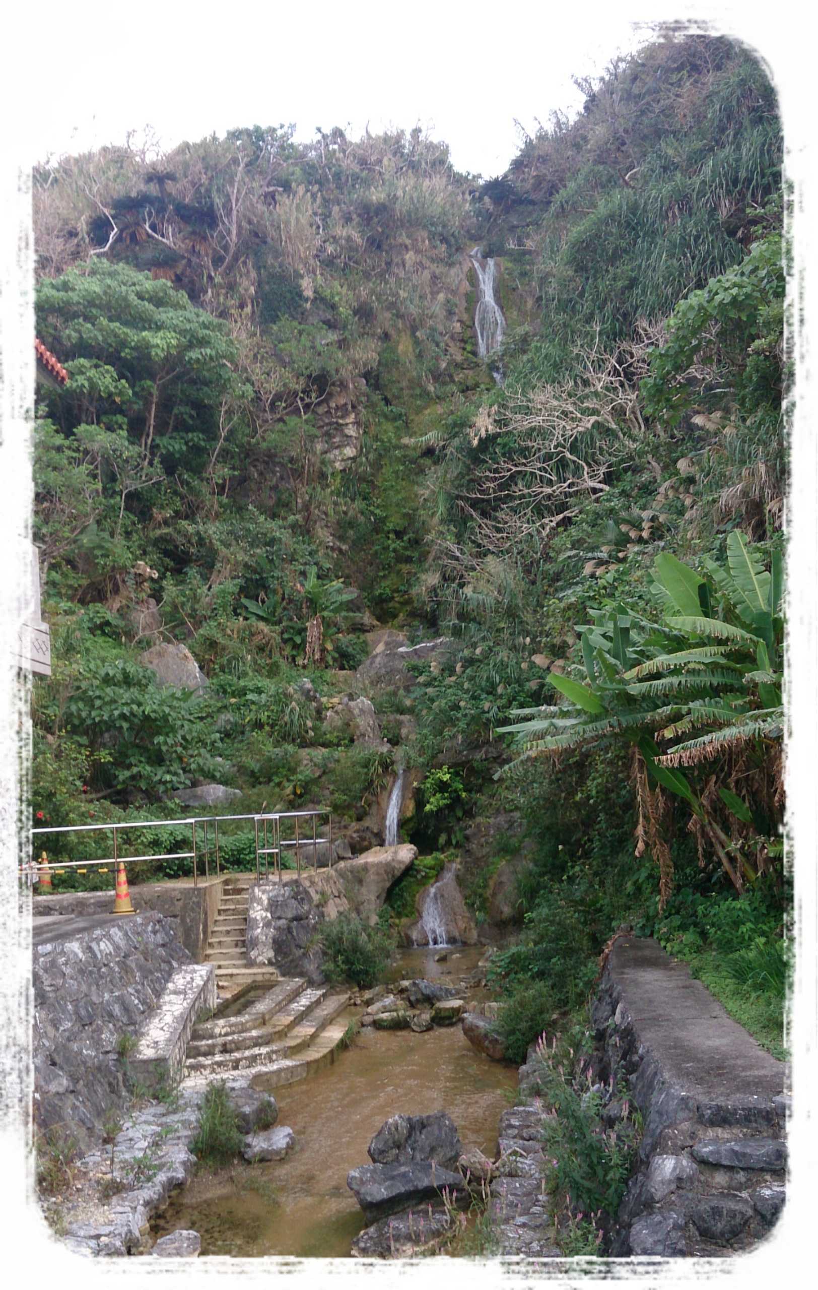 大宜味村