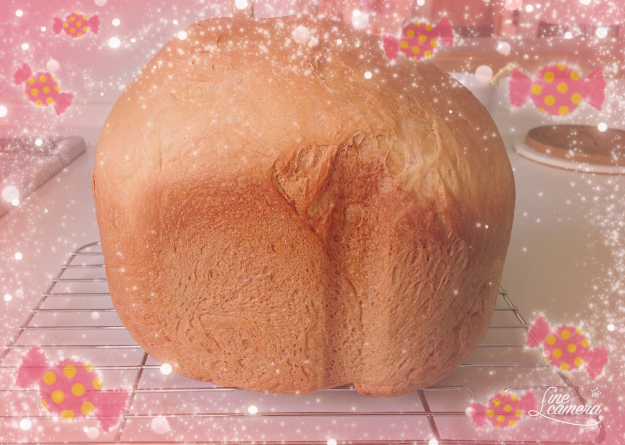 今日は…