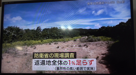 NHK 『美ら森を継ぐ 世界自然遺産“やんばる”の光と影』が放送されました。（2022年1月3日）