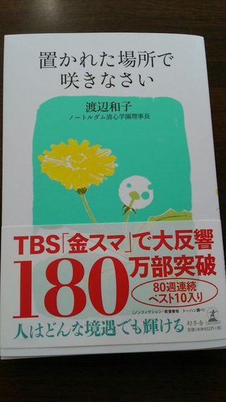 手に入りました