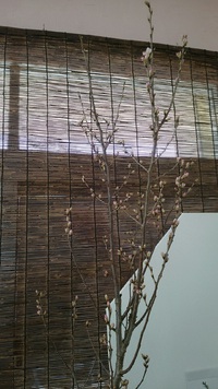 桜 2016/02/12 10:25:23