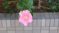 半年ぶり？の投稿です。 2014/03/24 23:59:30