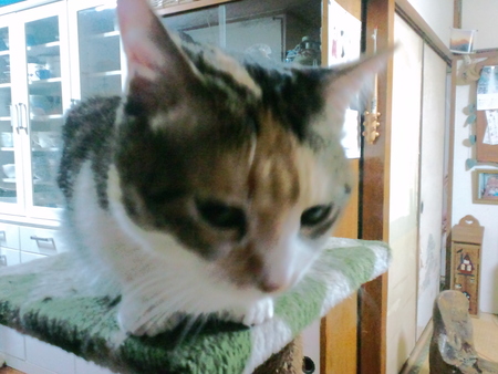 リベンジ到来　（　ノﾟДﾟ） ！
