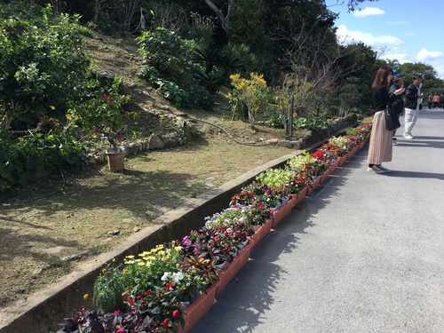アメク朝誠 がむしゃらに まっすぐに 日本一住みたい村づくり 沖縄 花のカーニバル 中城城跡