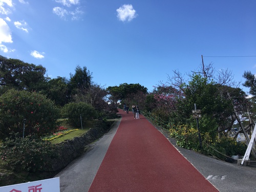 アメク朝誠 がむしゃらに まっすぐに 日本一住みたい村づくり 沖縄 花のカーニバル 中城城跡