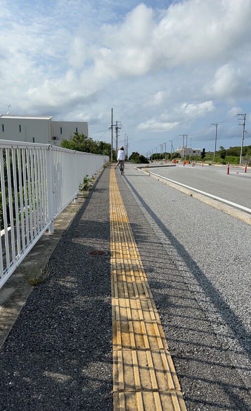 運動の効果①