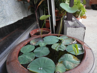 お天気も体調も不安定
