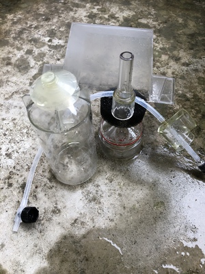 飼育日記〜Aoのすけbreed〜