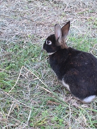 ここはどこでしょうか・・・？ 2017/12/25 09:00:00