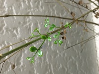 発見❕❕ 2018/01/20 09:00:00