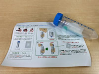 PCR検査 2021/02/15 06:52:35