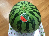 差し入れ 2020/09/17 18:13:00