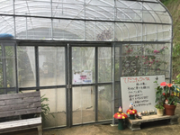 観光スポット発見 2022/05/18 23:24:39