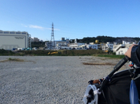 朝のお散歩 2020/01/15 23:31:00
