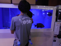 生き物観察 2020/12/15 20:47:16