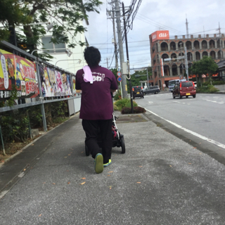 お散歩