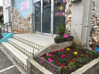 花壇 2020/01/14 20:06:27
