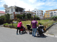 夏本番！ 2020/07/06 22:10:29