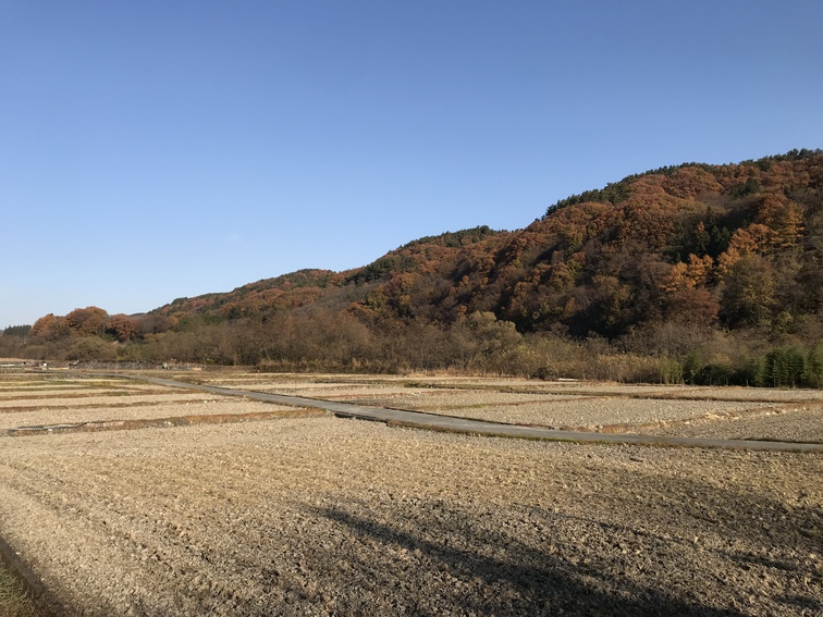 仕事場近くの風景