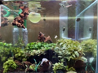 水草ストック水槽R30418 2021/04/24 06:53:00