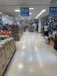 タバタ嘉手納店に行ってきたR30424 2021/04/27 06:23:00