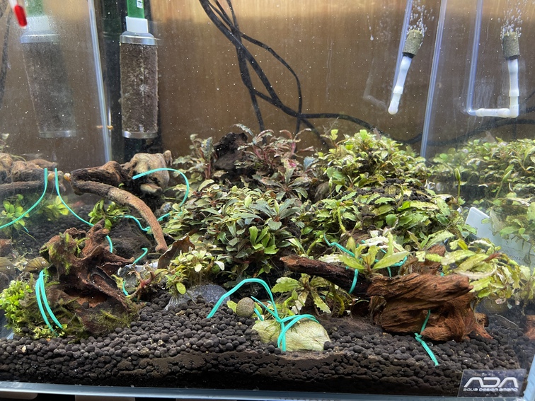 水草ストック水槽R30606