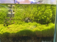 ウェルカム水槽R30704 2021/07/13 16:00:00