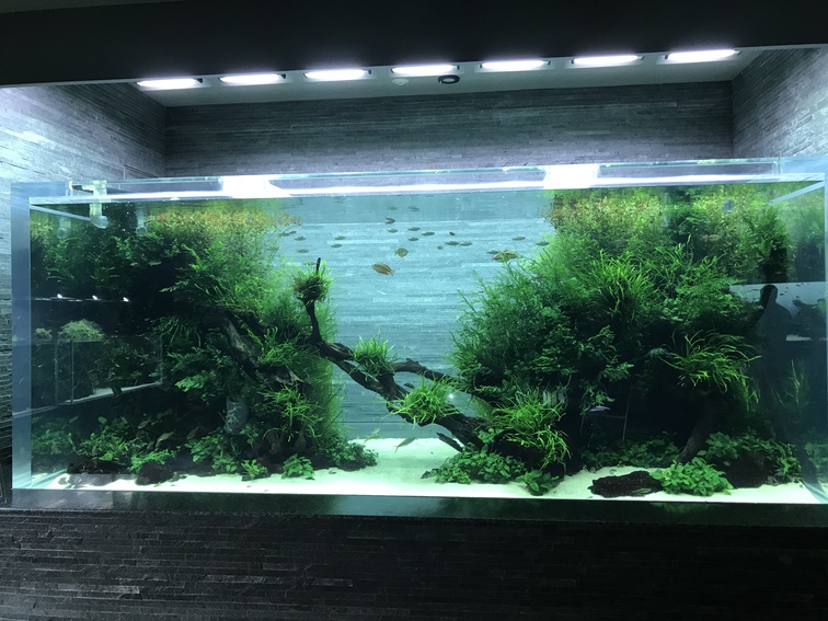 出張先の水族館R3