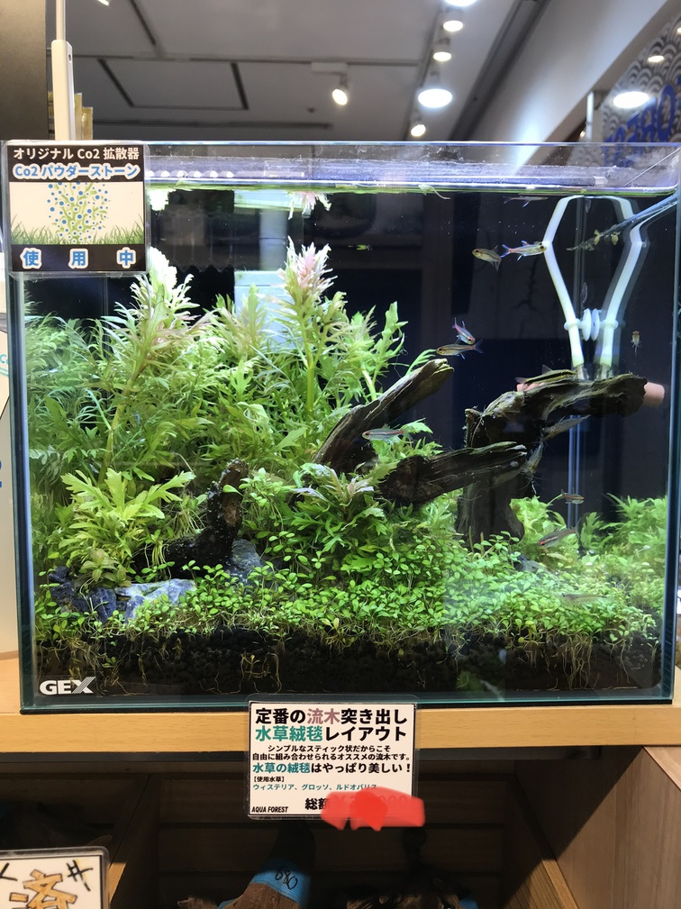 出張先での楽しみR3