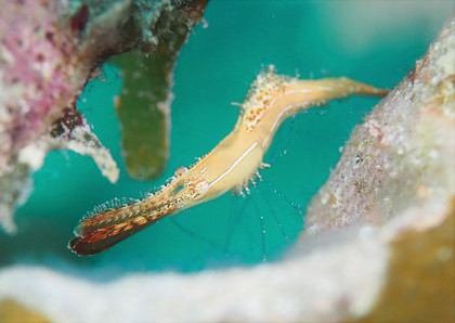 貸切り高野エリアへ