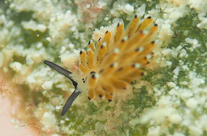 楽しい生物いっぱい！！