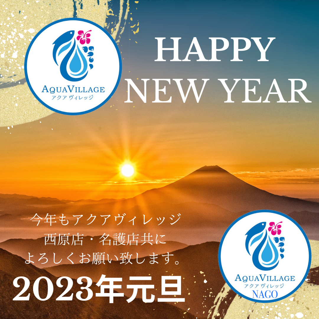 新年あけましておめでとうございます。