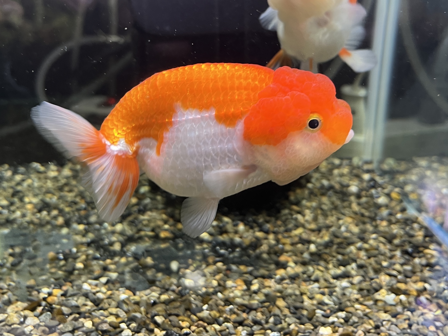 金曜日も営業中(^o^)/