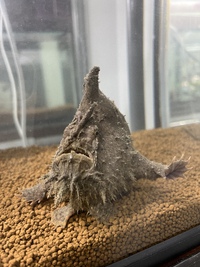珍魚！！ 2022/09/24 10:16:23