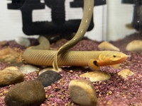 生体入荷！ 2022/10/12 12:25:12