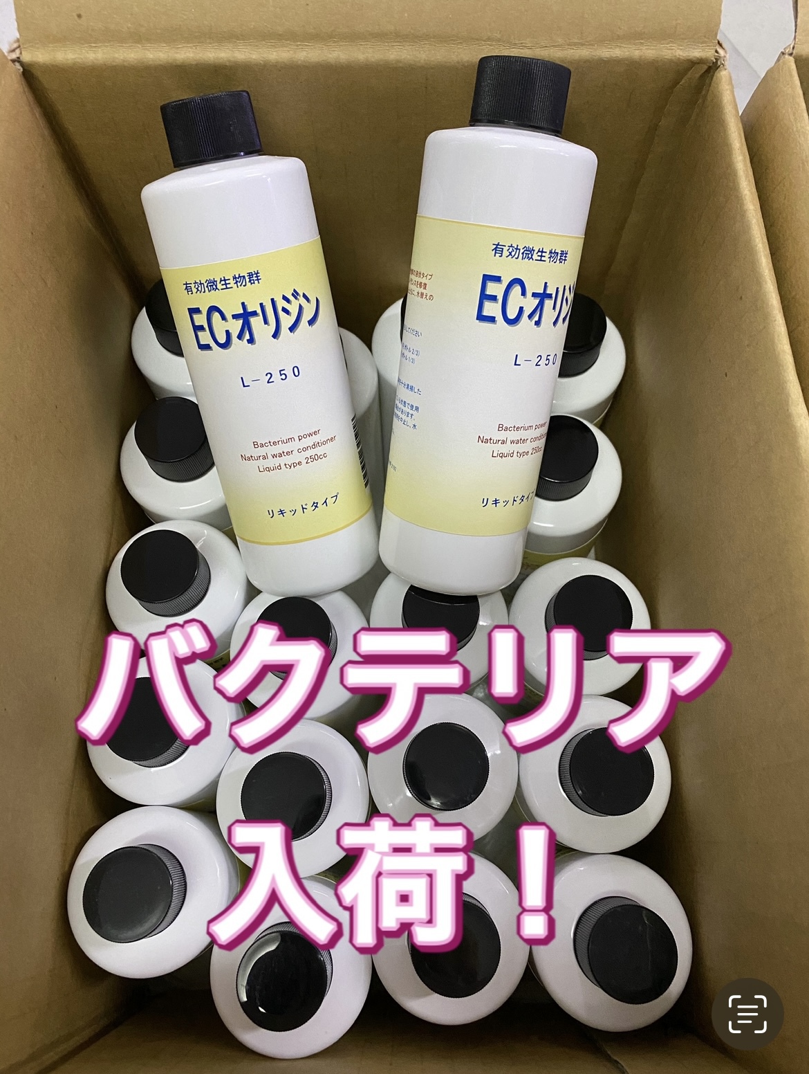 お待たせしました！