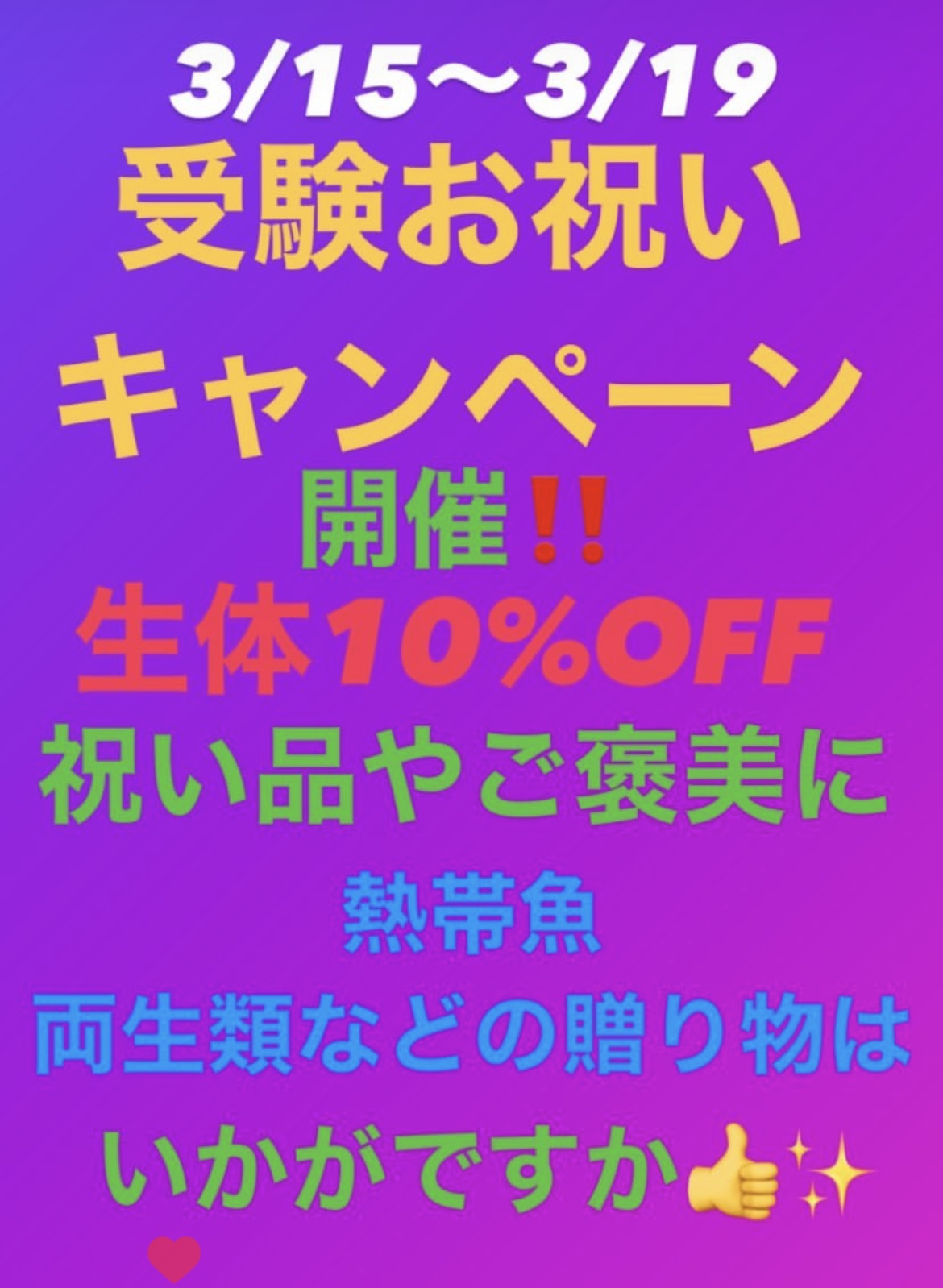 ダルマ琉金トリカラ―　再入荷！！