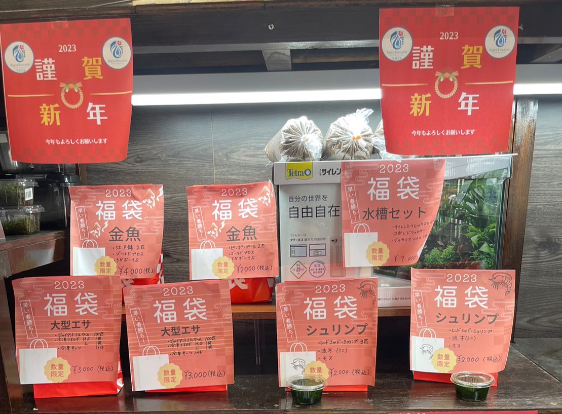 初売り！！