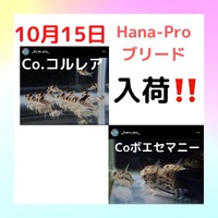 １５日（土）入荷します(^_^) 2022/10/14 22:40:04