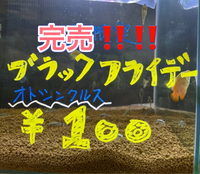 まだまだ続きます！！ 2022/11/24 12:36:20