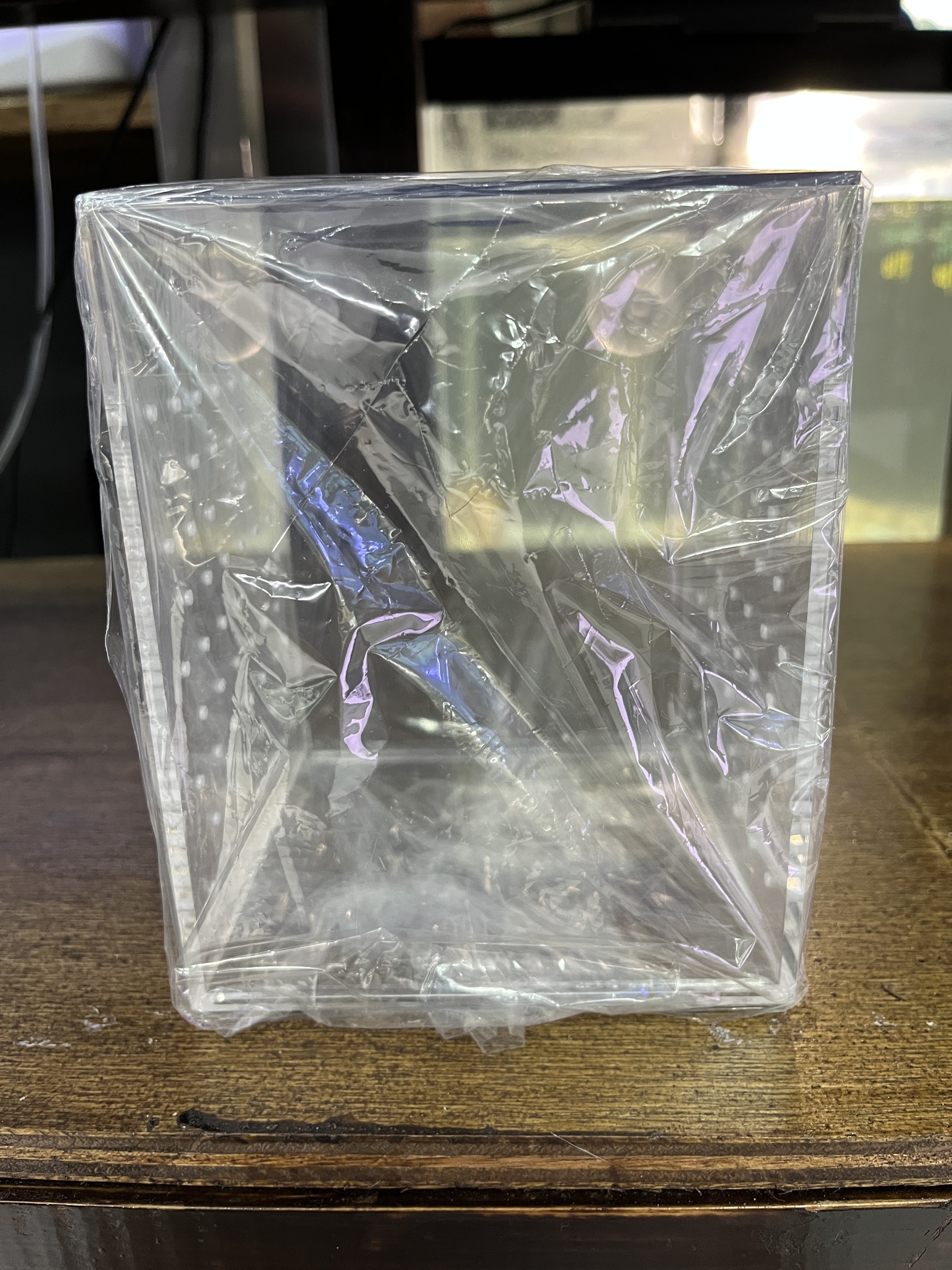 ブリードプレコ入荷！
