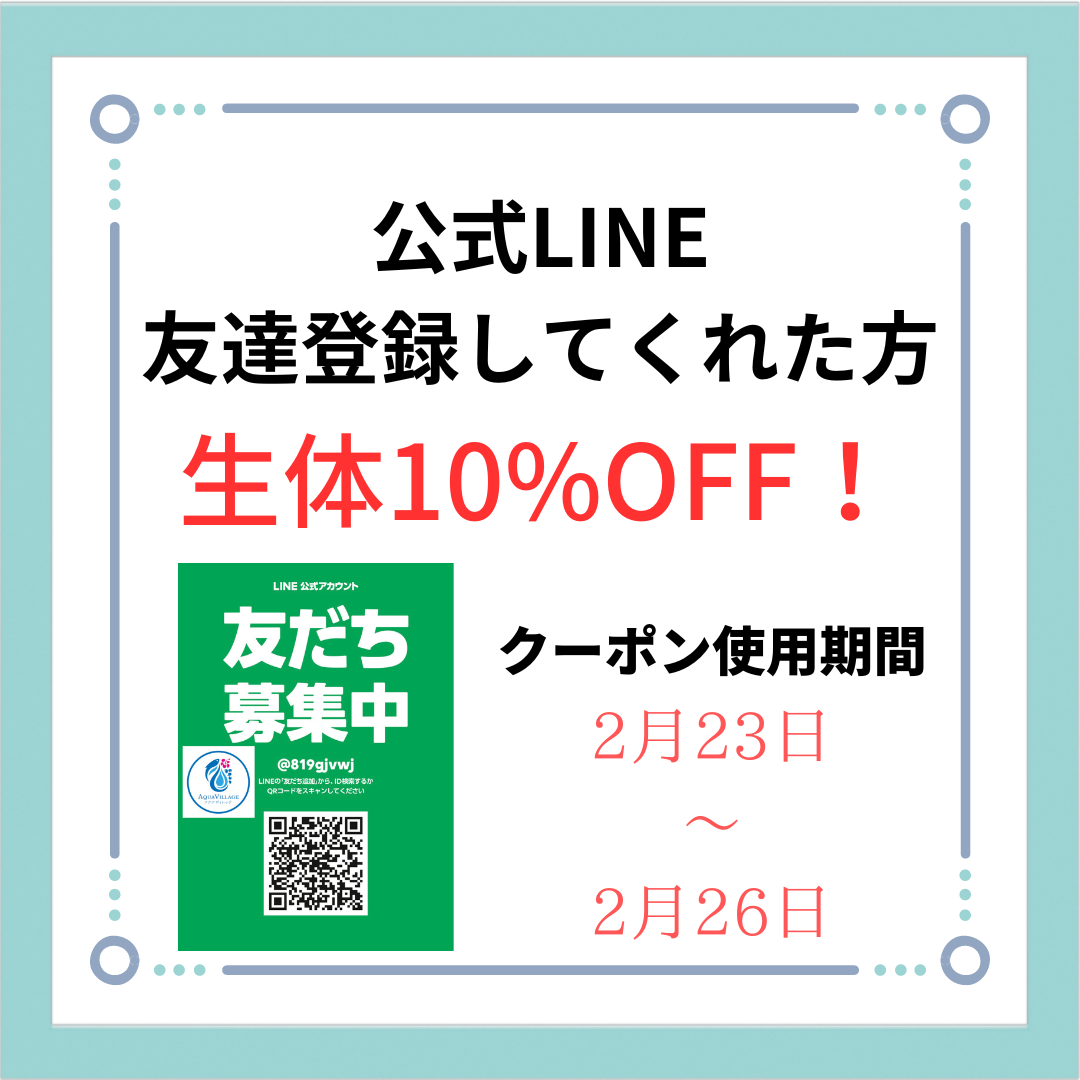 アピストグラマ　マウスブリーダー！