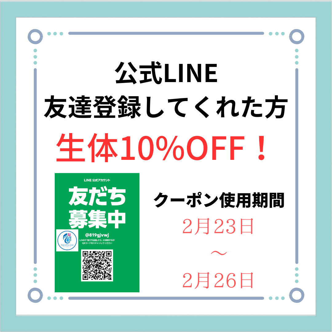 友達登録で生体10%OFF+ポイント2倍‼️