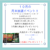 西原でも10%OFF!！ 2022/10/04 12:36:45