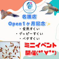 本日より名護店ミニイベント！ 2022/10/30 09:15:58