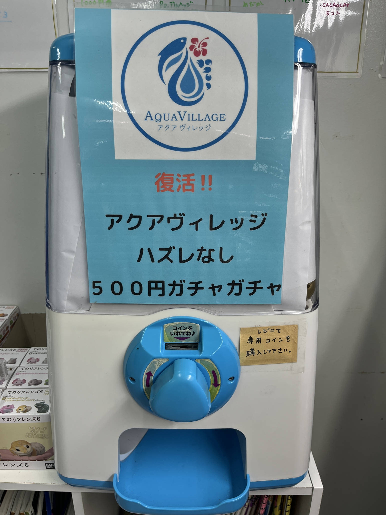ガチャガチャ　コンプリート‼️
