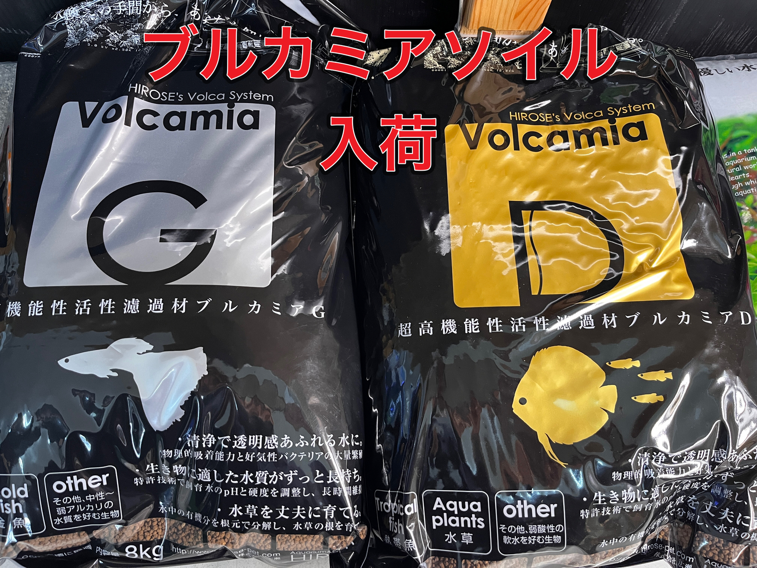 お待たせしました！